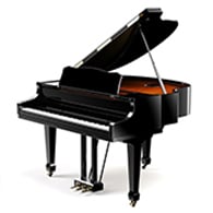 Baby Grand