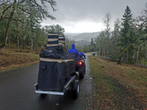 Photo of a person in a blue jacket moving a piano using an ATV on a rural road. The piano is wrapped in protective blankets and secured on a small trailer, surrounded by trees and a scenic landscape.