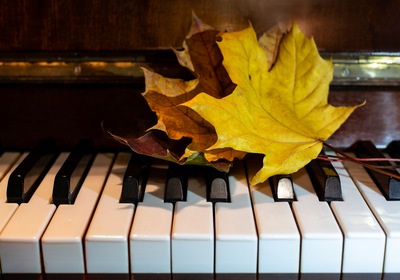 5 Fall Tips from Your Denver Piano Movers