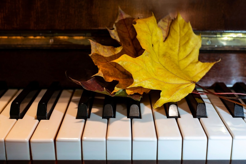 5 Fall Tips from Your Denver Piano Movers