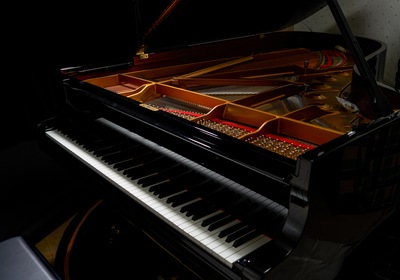 The Challenges of Moving Grand Pianos: Expert Solutions
